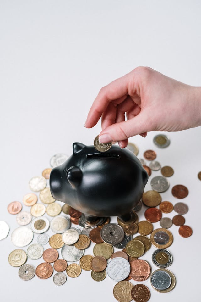 Wealth Optimization - Capital Growth Strategies